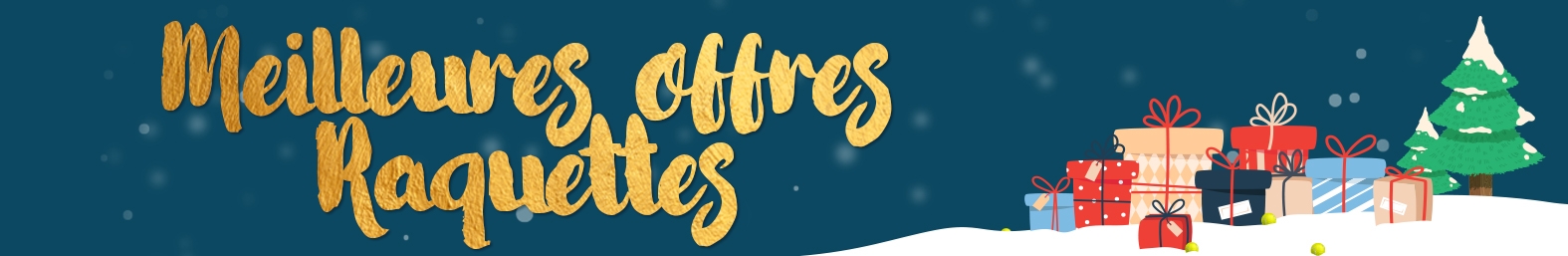 Noël : Les meilleures offres raquettes