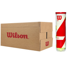 CARTON DE 18 TUBES DE 4 BALLES WILSON TEAM PRACTICE