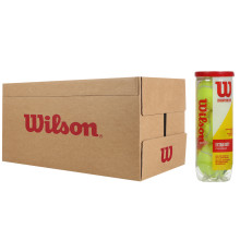 CARTON DE 24 TUBES DE 3 BALLES WILSON CHAMPIONSHIP